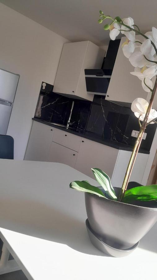 Apartma Ana Koper Eksteriør bilde